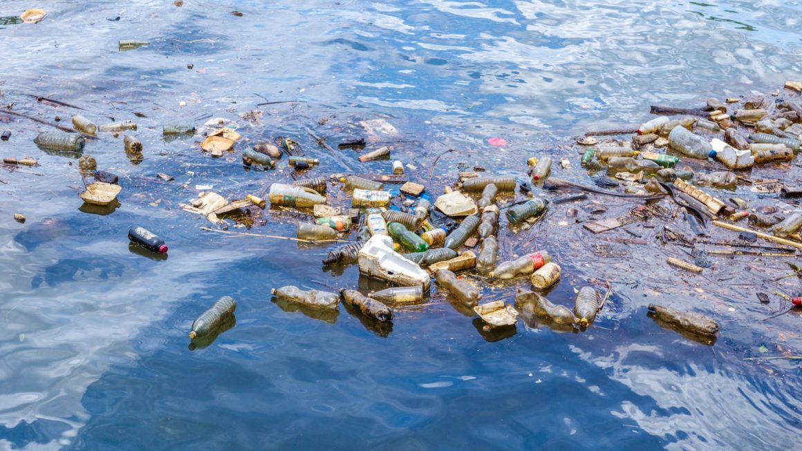 🌿🌎♻️ A contaminação silenciosa do plástico 🚫🥤💔